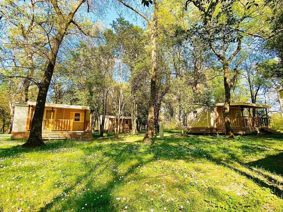 Camping en Ardeche Le Lion Bourg-Saint-Andéol Buitenkant foto
